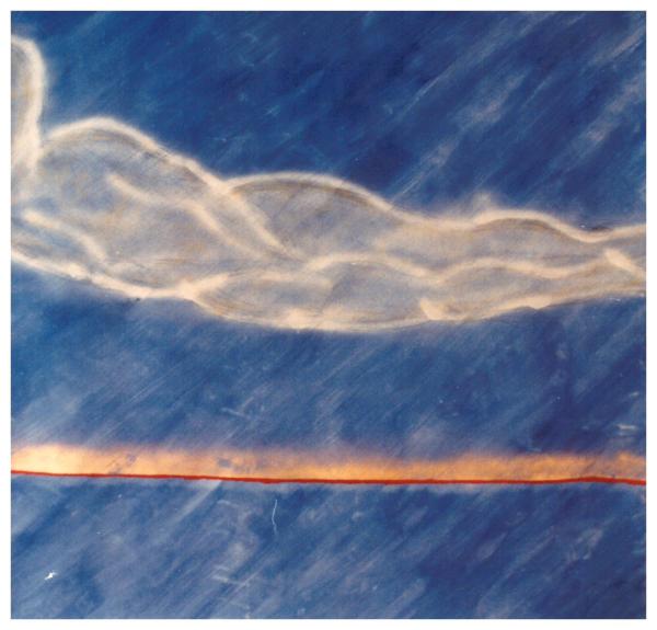 Femme bleue